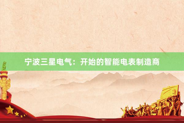 宁波三星电气：开始的智能电表制造商